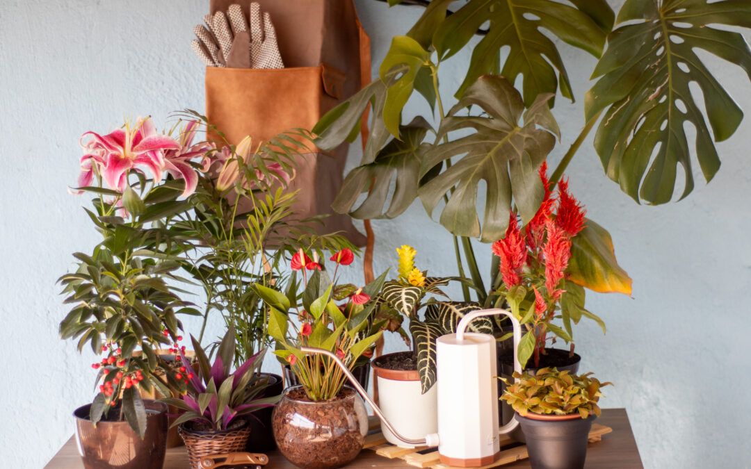 Produtos que podem transformar sua área verde num verdadeiro paraíso