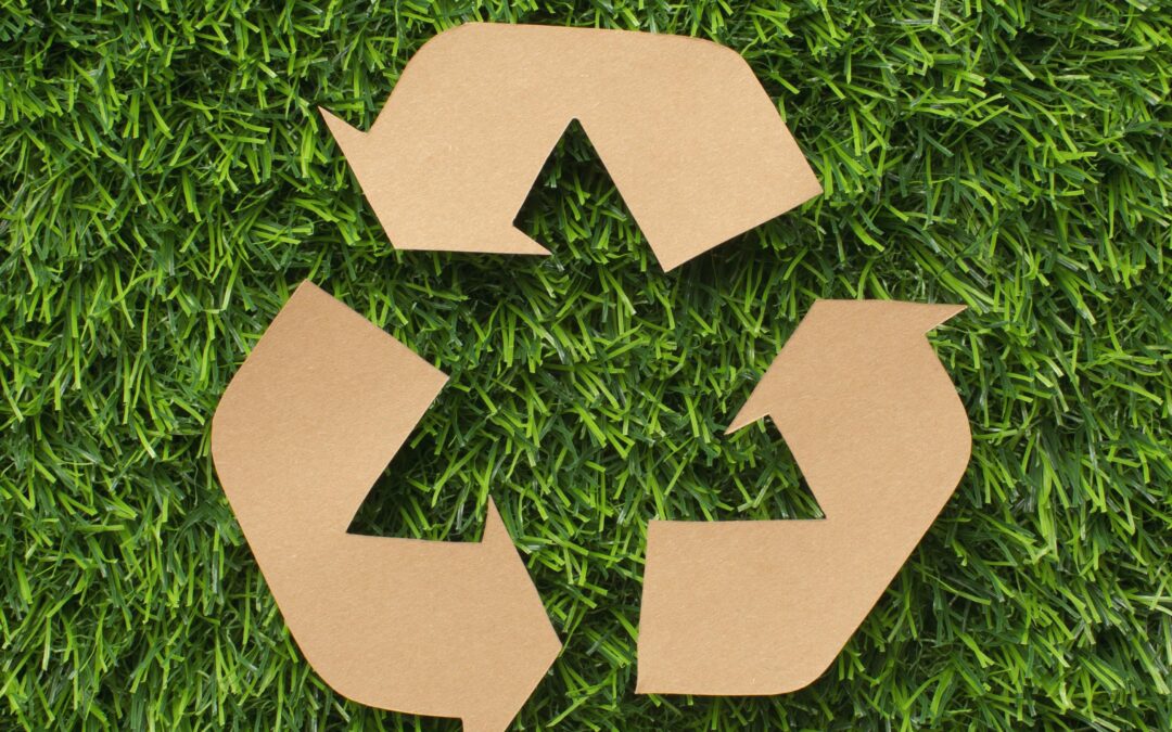 Dia da Reciclagem: Como folhas secas de plantas podem ser reutilizadas no seu jardim