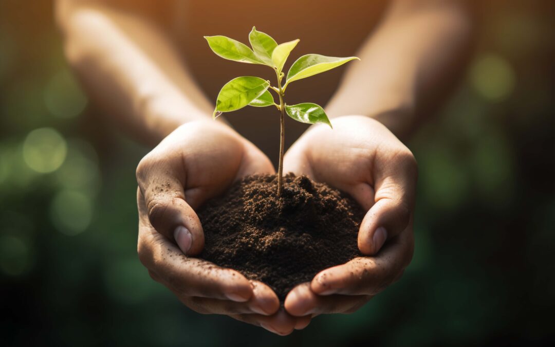 Dia Mundial do Meio Ambiente: por que cuidar do seu jardim pode ser o primeiro passo?