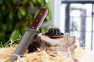 Faca Hori Hori para jardinagem com bainha
