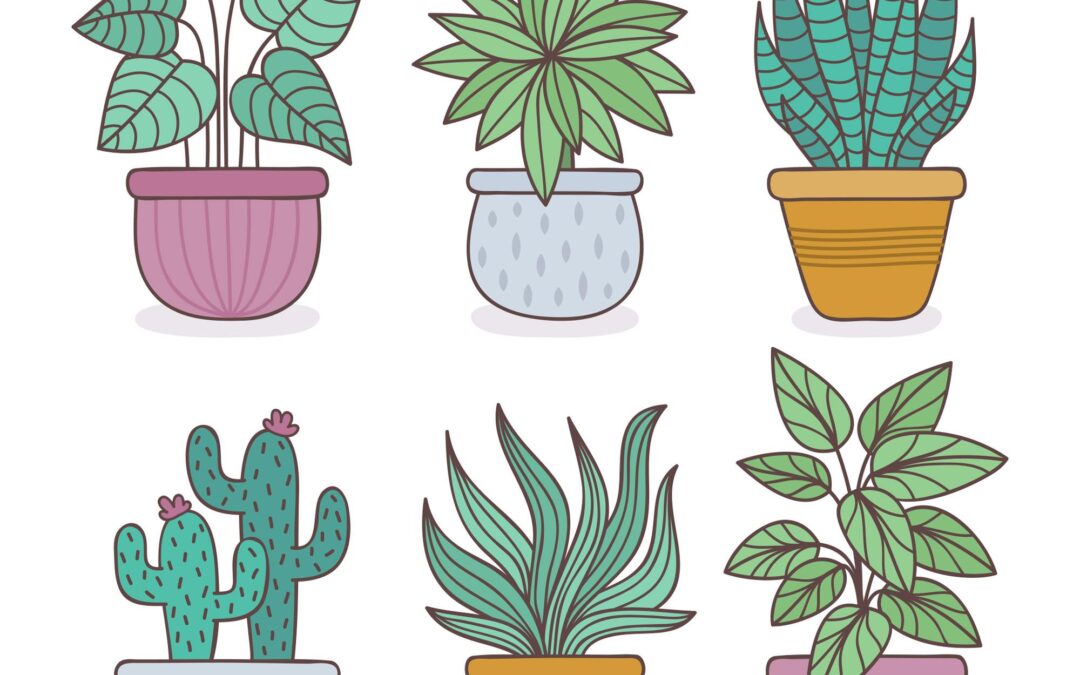 Plantas fáceis de cuidar que precisam de pouca manutenção