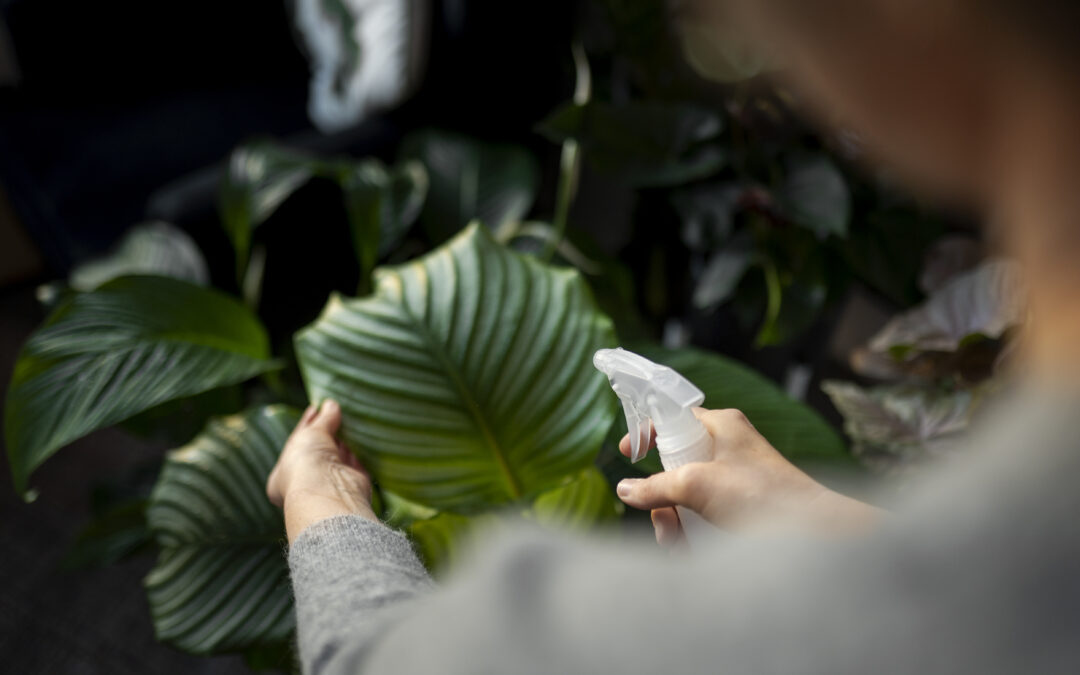 Como sua casa de temporada pode criar experiências sensoriais