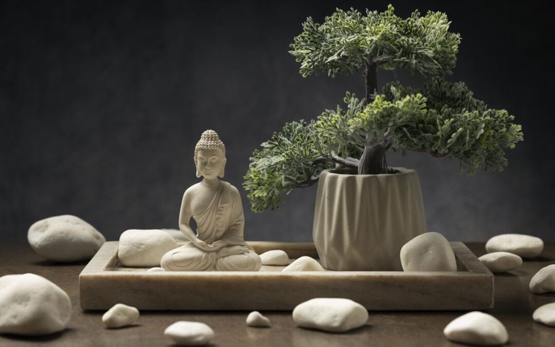 Feng Shui: O papel das plantas nessa técnica milenar