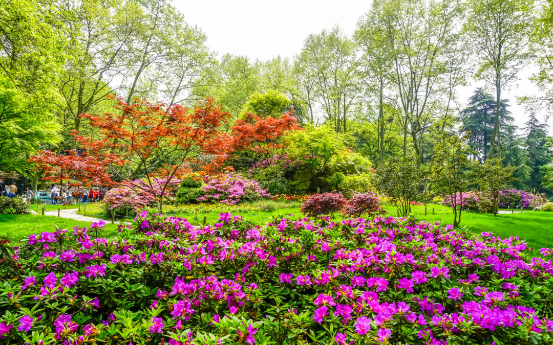 A Primavera chegou: Dicas úteis para preparar o seu jardim