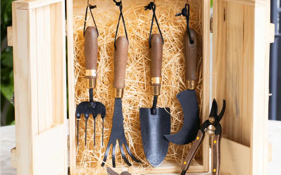 Como montar um kit perfeito para amantes de plantas