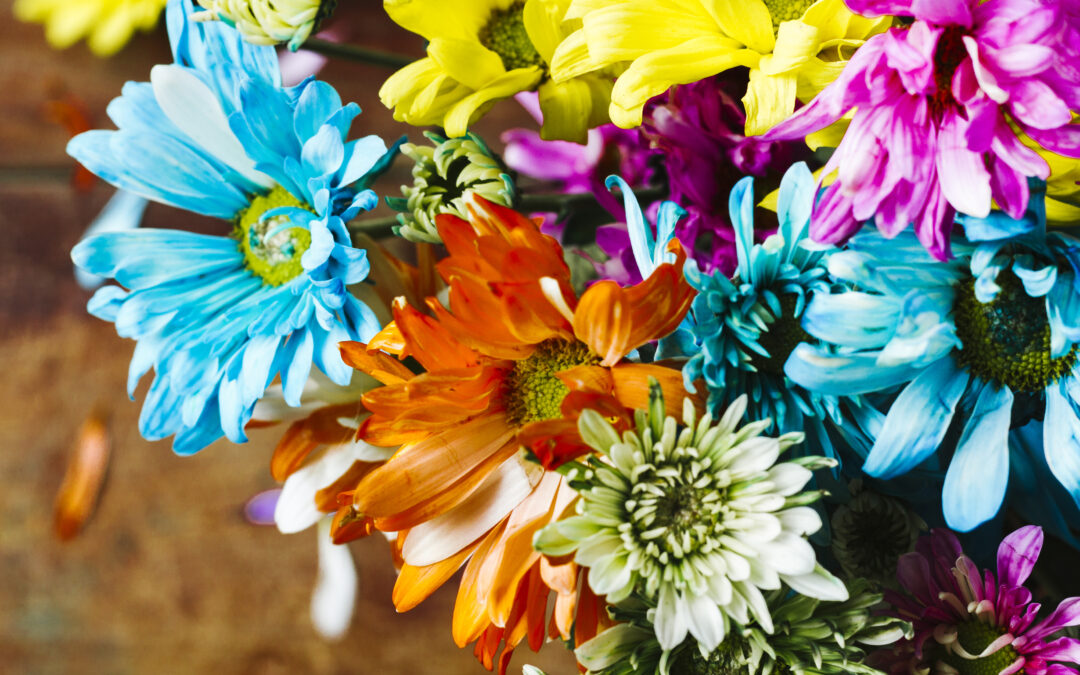 Flores que são puro Carnaval: como cultivar alegria no seu jardim